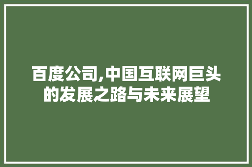 百度公司,中国互联网巨头的发展之路与未来展望 百度SEO