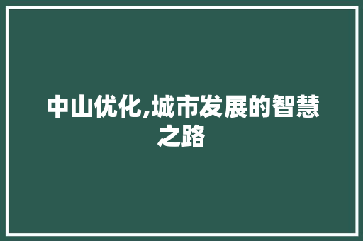 中山优化,城市发展的智慧之路 神马SEO