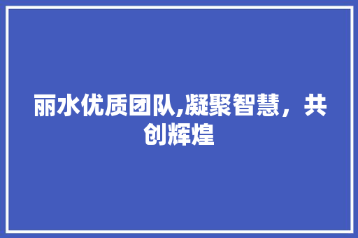 丽水优质团队,凝聚智慧，共创辉煌 必应SEO