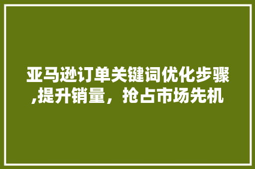 亚马逊订单关键词优化步骤,提升销量，抢占市场先机 神马SEO