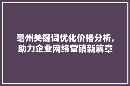 亳州关键词优化价格分析,助力企业网络营销新篇章 神马SEO