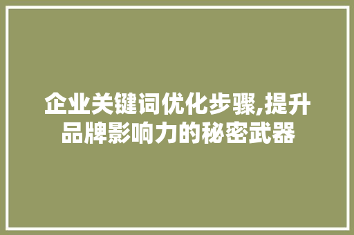 企业关键词优化步骤,提升品牌影响力的秘密武器