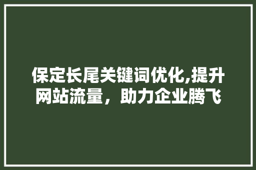 保定长尾关键词优化,提升网站流量，助力企业腾飞