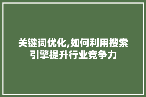 关键词优化,如何利用搜索引擎提升行业竞争力