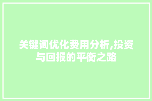 关键词优化费用分析,投资与回报的平衡之路