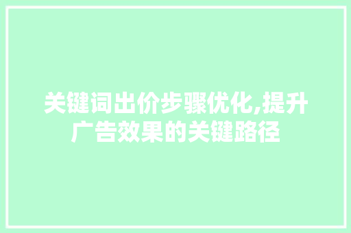 关键词出价步骤优化,提升广告效果的关键路径