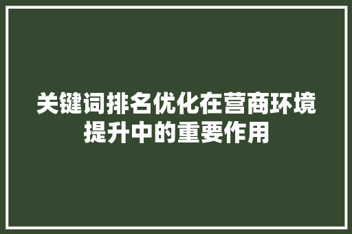 关键词排名优化在营商环境提升中的重要作用 未命名