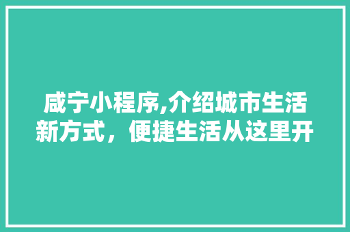 咸宁小程序,介绍城市生活新方式，便捷生活从这里开始 必应SEO