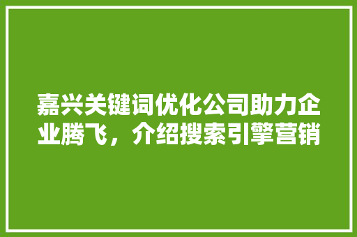 嘉兴关键词优化公司助力企业腾飞，介绍搜索引擎营销之路