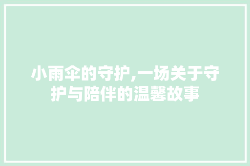 小雨伞的守护,一场关于守护与陪伴的温馨故事