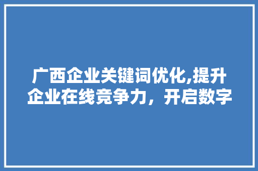 广西企业关键词优化,提升企业在线竞争力，开启数字化营销新篇章