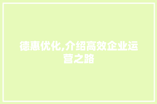 德惠优化,介绍高效企业运营之路