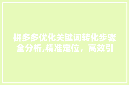 拼多多优化关键词转化步骤全分析,精准定位，高效引流