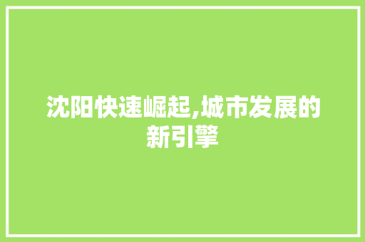 沈阳快速崛起,城市发展的新引擎