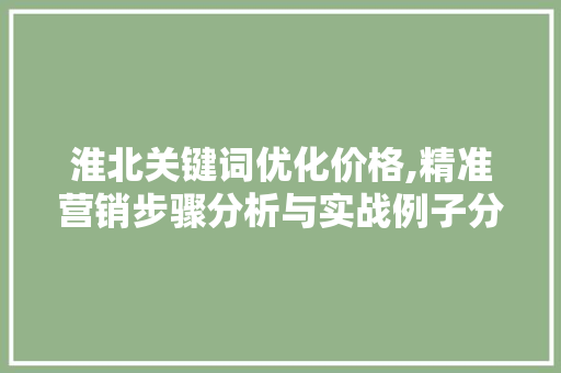 淮北关键词优化价格,精准营销步骤分析与实战例子分享 未命名