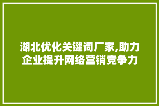 湖北优化关键词厂家,助力企业提升网络营销竞争力 未命名