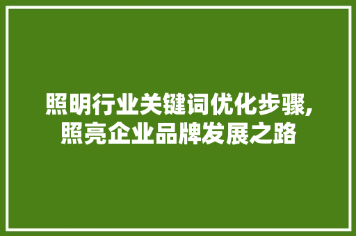 照明行业关键词优化步骤,照亮企业品牌发展之路