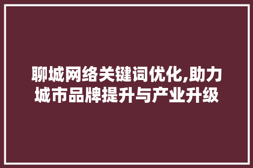 聊城网络关键词优化,助力城市品牌提升与产业升级 百度SEO