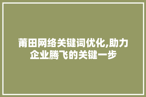 莆田网络关键词优化,助力企业腾飞的关键一步