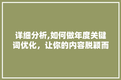 详细分析,如何做年度关键词优化，让你的内容脱颖而出 搜狗SEO