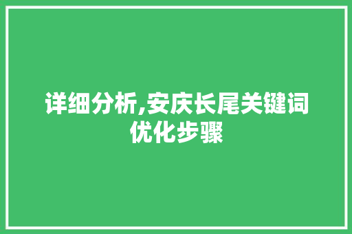 详细分析,安庆长尾关键词优化步骤 搜狗SEO