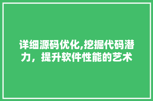 详细源码优化,挖掘代码潜力，提升软件性能的艺术