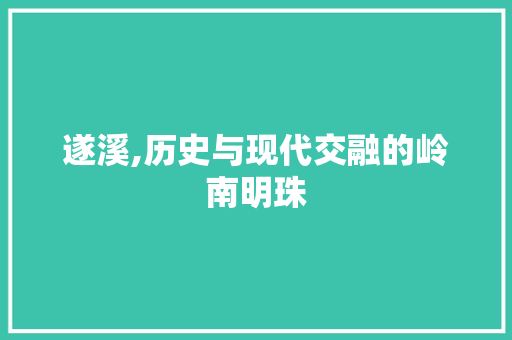 遂溪,历史与现代交融的岭南明珠 未命名