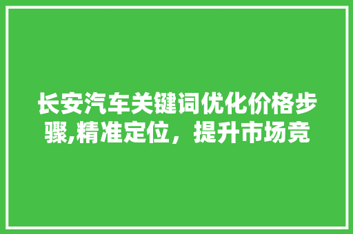 长安汽车关键词优化价格步骤,精准定位，提升市场竞争力 必应SEO
