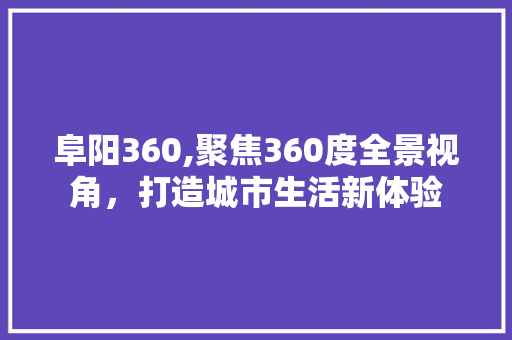 阜阳360,聚焦360度全景视角，打造城市生活新体验 未命名