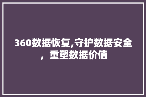 360数据恢复,守护数据安全，重塑数据价值