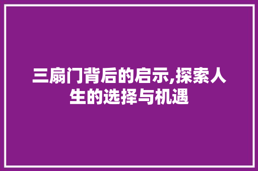 三扇门背后的启示,探索人生的选择与机遇 神马SEO