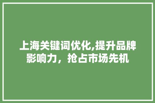 上海关键词优化,提升品牌影响力，抢占市场先机