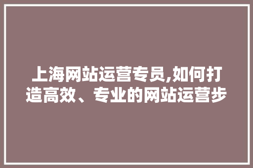 上海网站运营专员,如何打造高效、专业的网站运营步骤 百度SEO