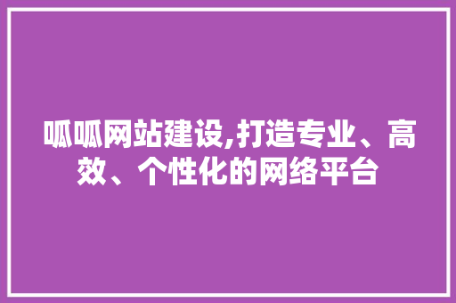 呱呱网站建设,打造专业、高效、个性化的网络平台 百度SEO