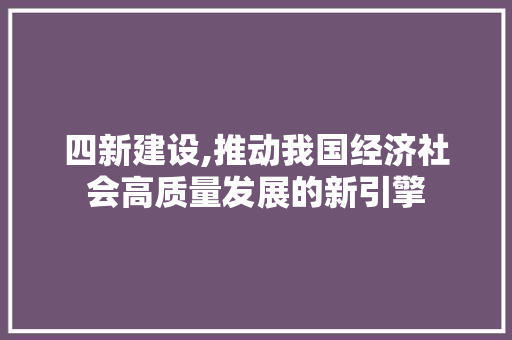 四新建设,推动我国经济社会高质量发展的新引擎 GoogleSEO