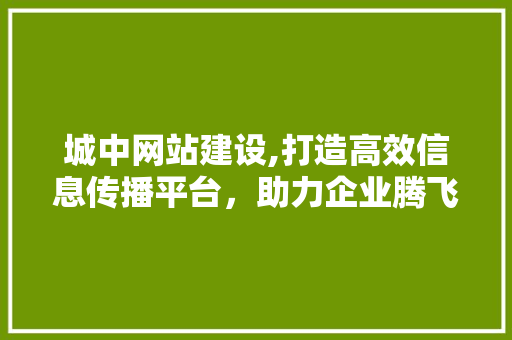 城中网站建设,打造高效信息传播平台，助力企业腾飞 百度SEO