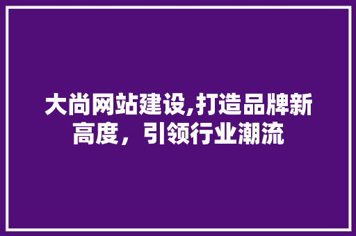 大尚网站建设,打造品牌新高度，引领行业潮流 百度SEO