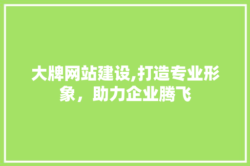 大牌网站建设,打造专业形象，助力企业腾飞 GoogleSEO