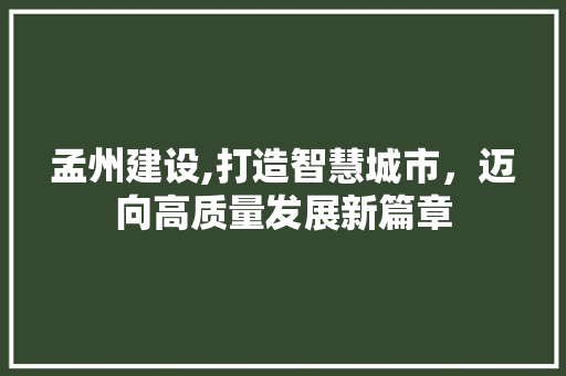 孟州建设,打造智慧城市，迈向高质量发展新篇章 必应SEO