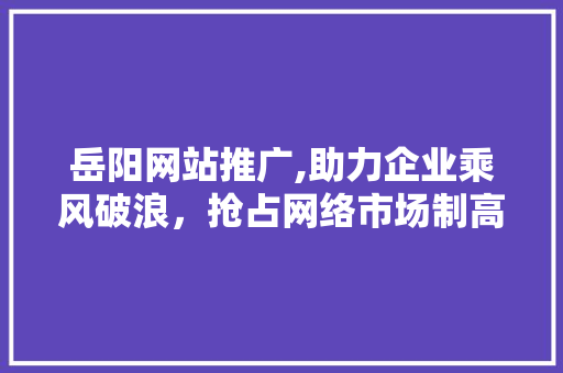 岳阳网站推广,助力企业乘风破浪，抢占网络市场制高点 GoogleSEO