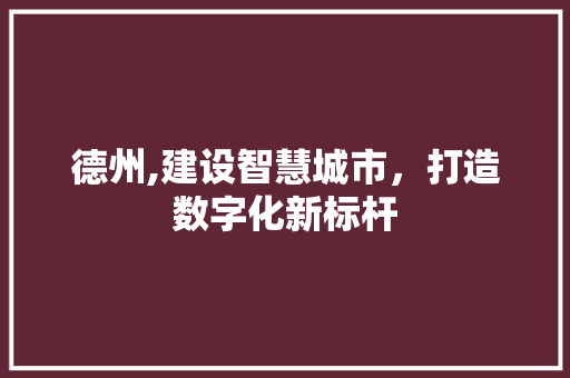 德州,建设智慧城市，打造数字化新标杆 GoogleSEO