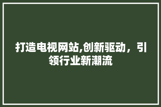 打造电视网站,创新驱动，引领行业新潮流 GoogleSEO