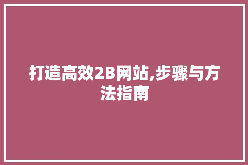 打造高效2B网站,步骤与方法指南 必应SEO