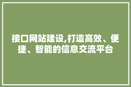 接口网站建设,打造高效、便捷、智能的信息交流平台 必应SEO