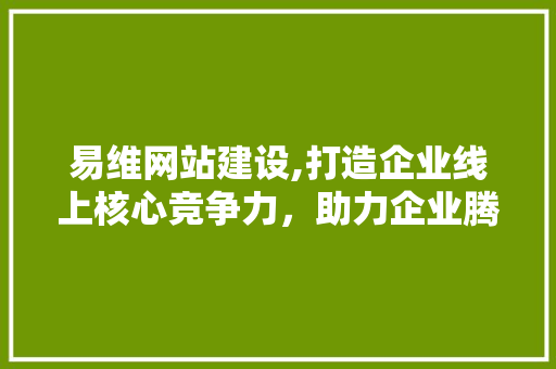 易维网站建设,打造企业线上核心竞争力，助力企业腾飞 神马SEO