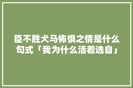 臣不胜犬马怖惧之情是什么句式「我为什么活着选自」 臣不胜犬马怖惧之情是什么句式「我为什么活着选自」 必应SEO