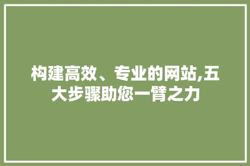 构建高效、专业的网站,五大步骤助您一臂之力 必应SEO