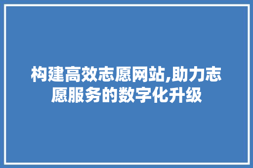 构建高效志愿网站,助力志愿服务的数字化升级 神马SEO