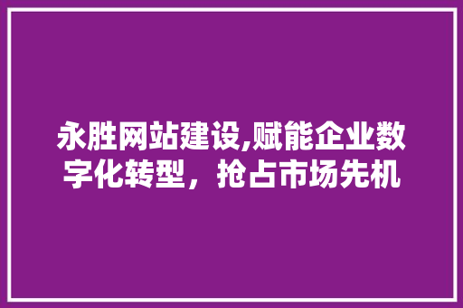 永胜网站建设,赋能企业数字化转型，抢占市场先机 百度SEO