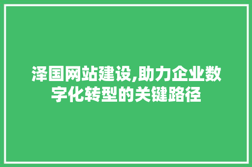 泽国网站建设,助力企业数字化转型的关键路径 搜狗SEO